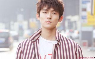 真实演员表,揭秘真实演员阵容背后的精彩故事